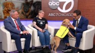American Heart Association, One Tail at a Time talk health benefits of owning a dog