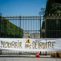 France adopts law upholding ban on controversial insecticide