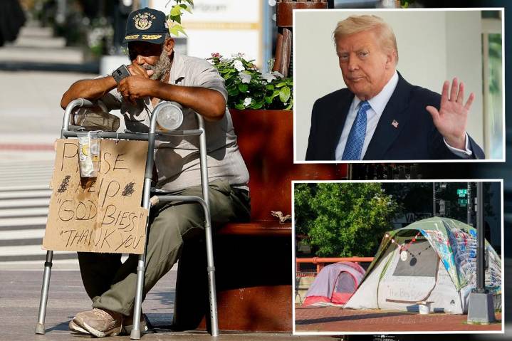 Trump vows to push homeless people out of DC and get 'our Capital BACK'