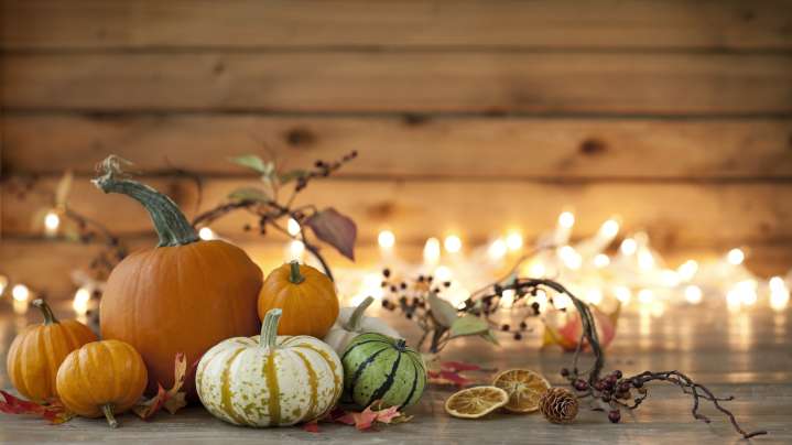 Aldi's Beloved Crofton Pumpkin Casserole Dishes Make A Fall Comeback