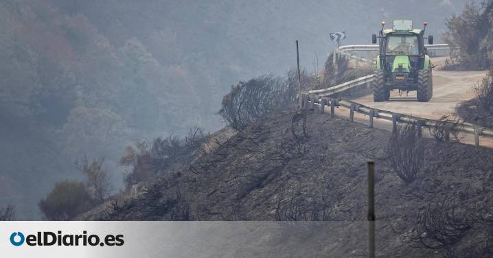 Los incendios causan pérdidas de cientos de millones y aumentan el malestar del campo: "Ha desaparecido mucho ganado"