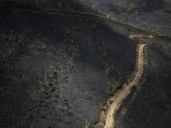 Estabilizado el mayor incendio de la historia de Galicia