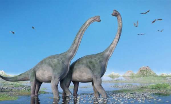 Una enfermedad ósea habría diezmado a dinosaurios de cuello largo que habitaron el actual Brasil