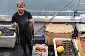 ‘Perfect storm’: UK fishermen reel from octopus invasion