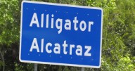 Absolutely Not - Detention facility "cheesy" names