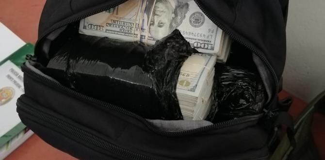 Lo condenaron por romper una camioneta para robar una mochila llena de dólares
