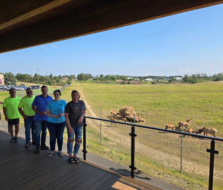 Gaylord residents can enjoy new elk viewing experience at Elkview Park