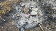 Investigator determines La Plata Fire started by abandoned campfire