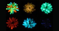 Scientists Develop Multicolored, Glow-In