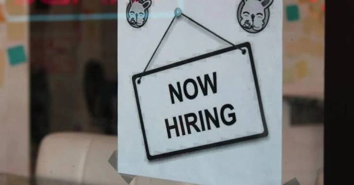 Career centers embrace careful use of AI during job search