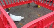 79m-long road closed due to sinkhole the size of a 10p coin