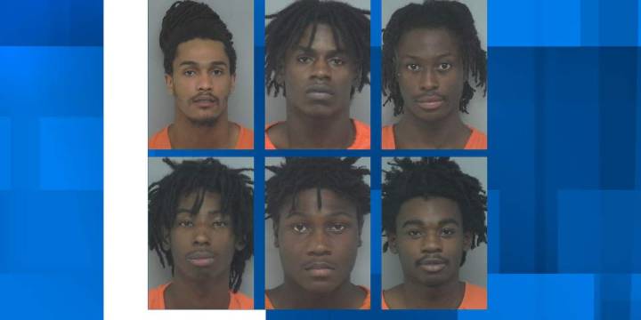 Deputies arrest 7 on weapon charges at St. Helena Island park