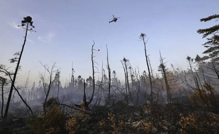 Halifax wildfire was human caused, N.S. government confirms