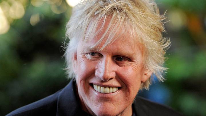 Gary Busey pleads guilty in sex case from incident at NJ convention