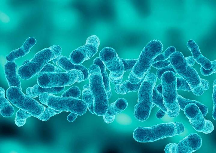 Harlem Legionnaires’ outbreak rises to 58 cases, three deaths