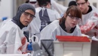 45 TV Shows Awarded ReFrame Stamp For Gender