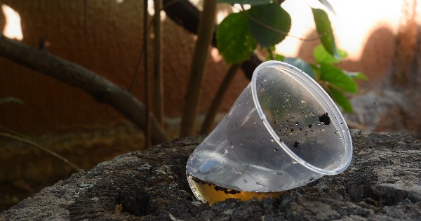 Elimina los mosquitos de casa