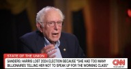 Bernie Sanders Blames Kamala Harris' Billionaire Problem for Election Defeat