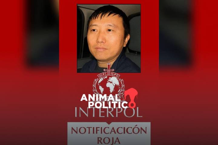 Interpol emite ficha roja a Zhi Dong Zhang, chino que se fugó en CDMX; acusado de tráfico de drogas