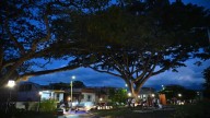 Así es El Samán, el nuevo bosque urbano que florece en El Cerrito (Valle del Cauca): proyecto ambiental e innovador liderado por la CVC