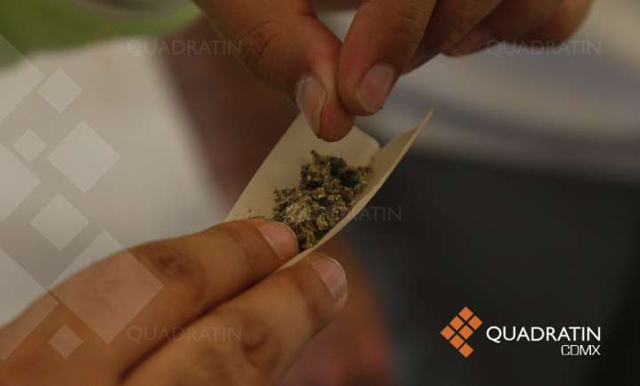 Reubicar puntos para fumar marihuana puede evitar narcomenudeo: Sheinbaum