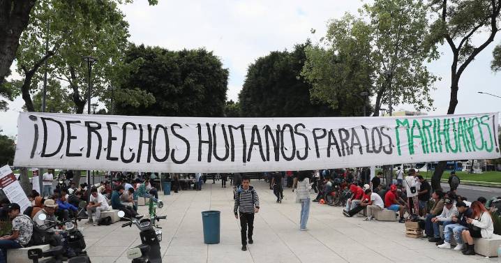 La pura buena vibra: Estrenan en CDMX ‘paraísos’ para fumar marihuana