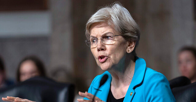 Democrats Says DOGE Employees' Continued Presence in Federal Bureaucracy 'Alarming'