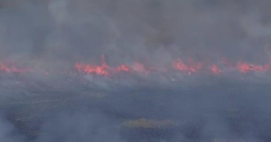 Broward air quality impacted by wildfires