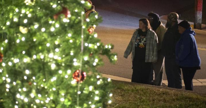 Nelson officials looking into ways to continue Christmas lights in communities