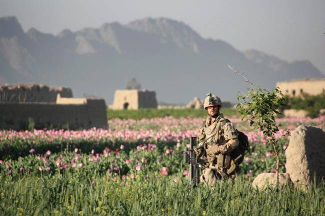 Petition revives campaign to award Victoria Cross to Afghan war veterans