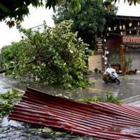 Typhoon death toll rises in Vietnam as downed trees hamper rescuers