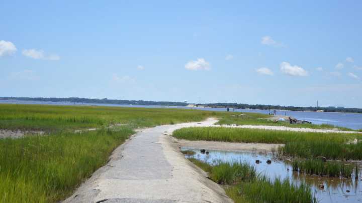 See the views from Zeke's Island Reserve