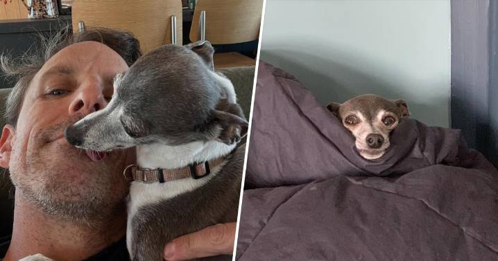 Seth Meyers' Dog Frisbee Dies