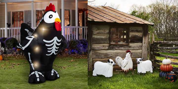 Tractor Supply Co. Is Selling a Halloween Rooster Skeleton That's Going Viral