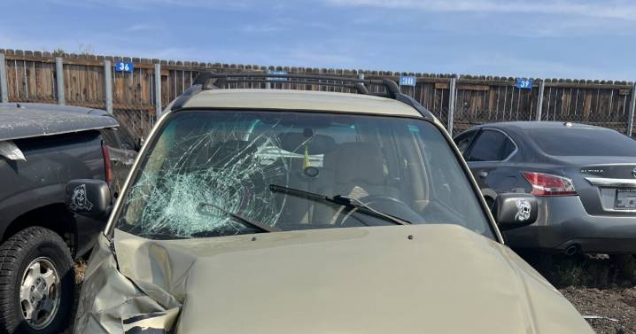 Aurora police asking for public's help tracking down driver suspected in fatal hit
