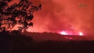 Confinadas casi 5.000 personas por un incendio forestal en Calera y Chozas (Toledo)