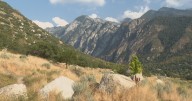 Heavy fire restrictions lifted before Labor Day weekend, what to know what to do