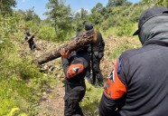 Aseguran hornos clandestinos y madera ilegal en La Malinche