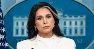 Tulsi Gabbard’s Revenge Purge Immediately Runs Into a Major Problem