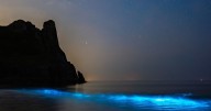 Magical sea phenomenon turns Westcountry beach blue