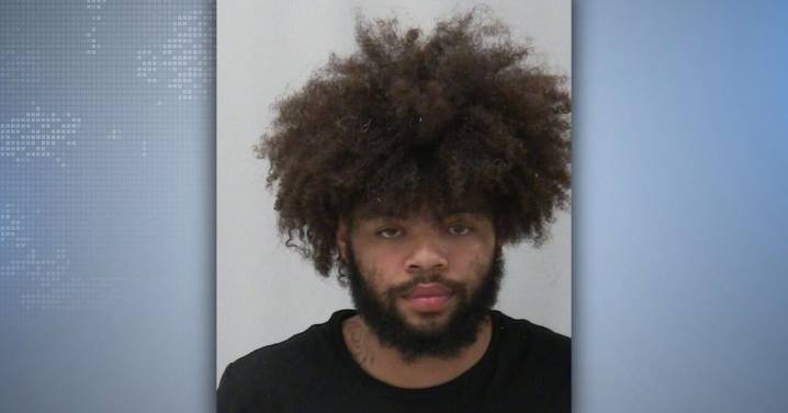 Dixon man arrested on numerous charges after Amboy crash