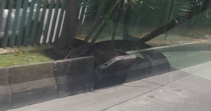El pedazo de separador que se desprende, peligrosamente, en avenida de Manizales: Alcaldía anuncia 2 acciones