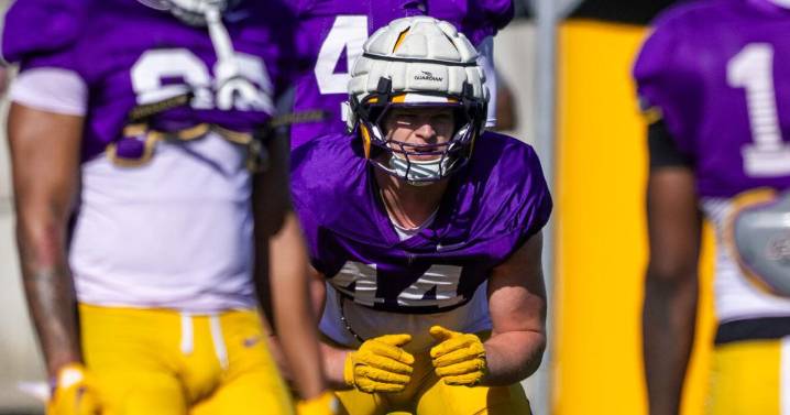 LSU football transfer portal player rankings before Clemson