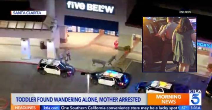 Diaper-clad girl found wandering busy streets carrying an iPad and accompanied by a dog: Cops