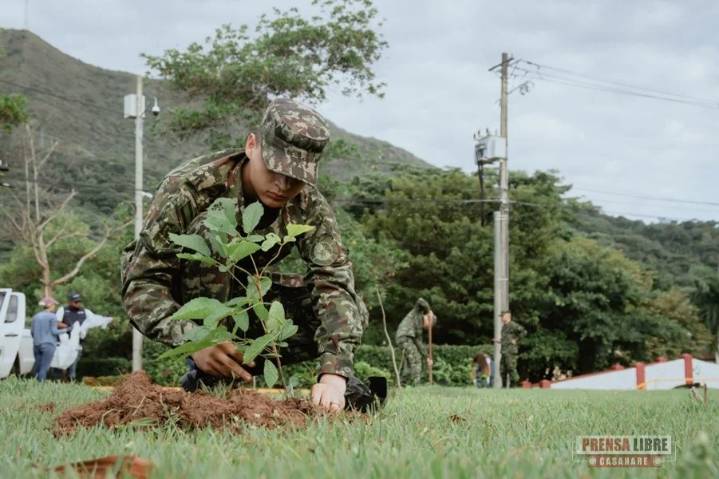 “Yopal Florece para Todos” sembró 150 árboles de Flor Amarillo en el Cantón Militar Manare