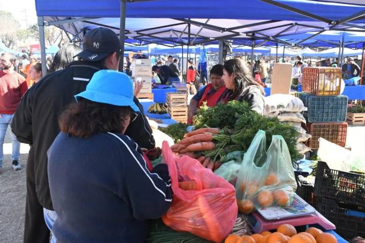 Ciudad de Salta | El «Mercado en tu barrio» registró demanda récord en Santa Lucía