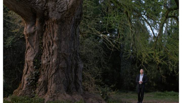 How Co-Productions Are Powering Hungarian Industry to New Heights