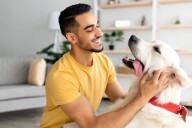 Cómo tu perro entiende tus emociones: la ciencia detrás de su vínculo