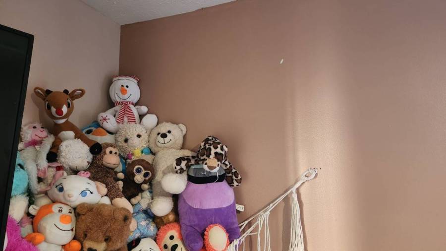 Bullets fly into family's far east side home