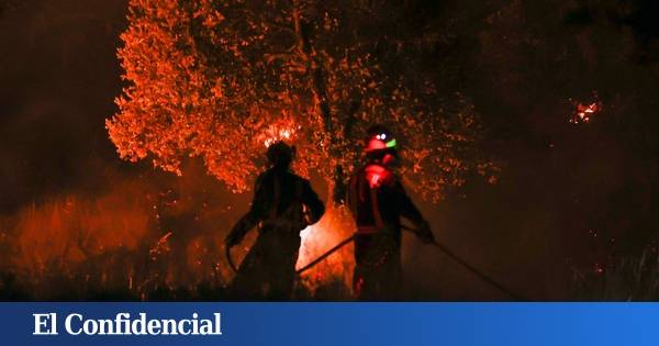 Fuego en el paraíso: "Si tardan 20 minutos más, habría ardido todo Soto de Viñuelas"
